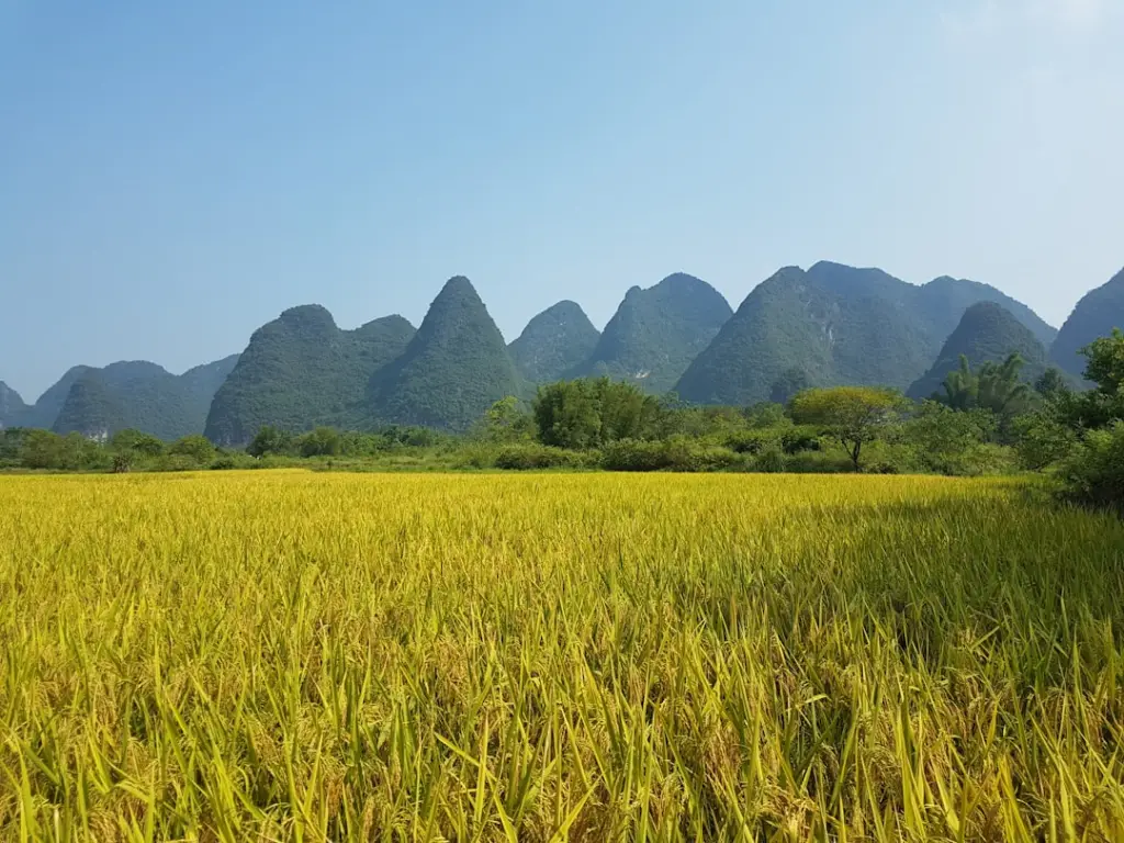 多行业软件外包项目开发流程与周期详解